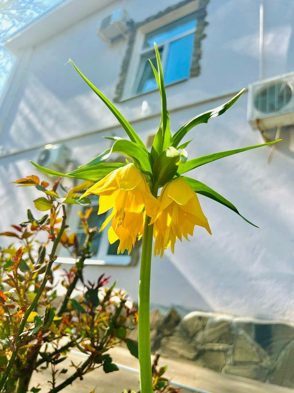 Гостиница Мон Плезир Химки