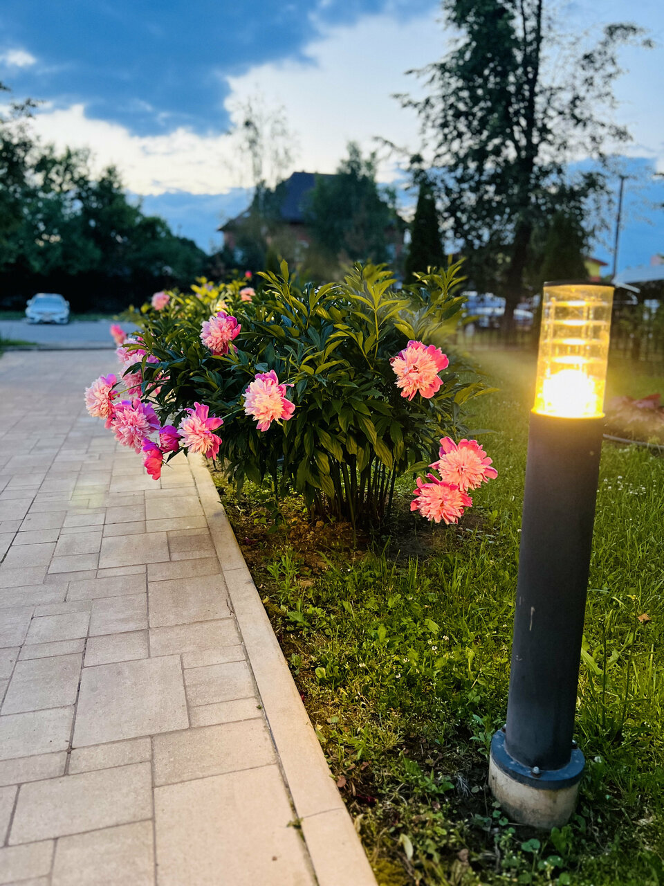 Гостиница Мон Плезир Химки-75