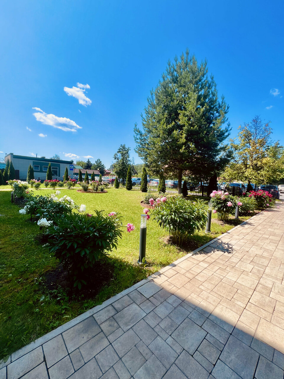 Гостиница Мон Плезир Химки-49