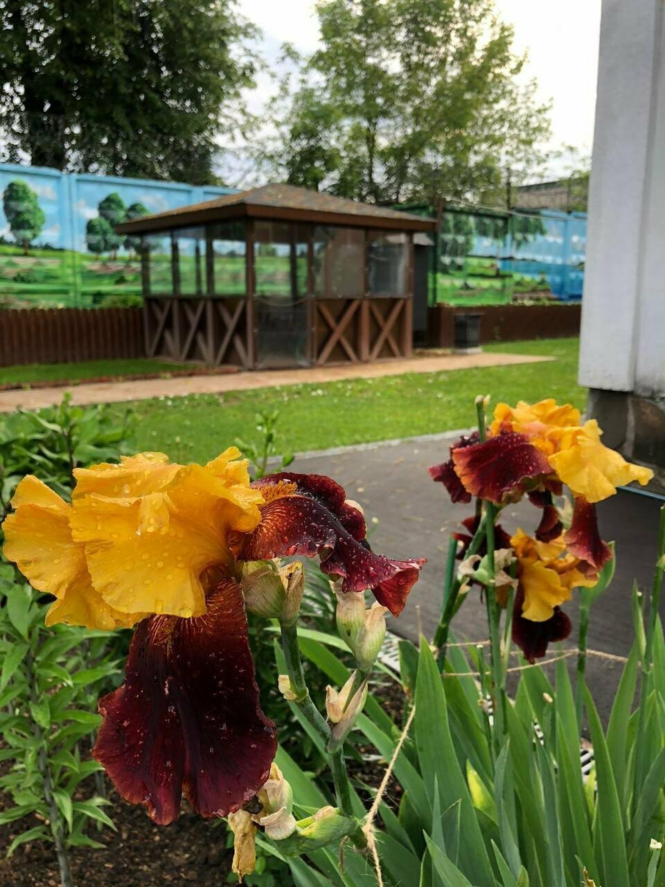 Гостиница Мон Плезир Химки-156