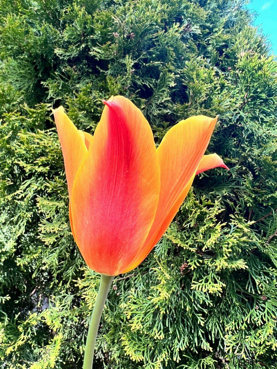 Гостиница Мон Плезир Химки-186