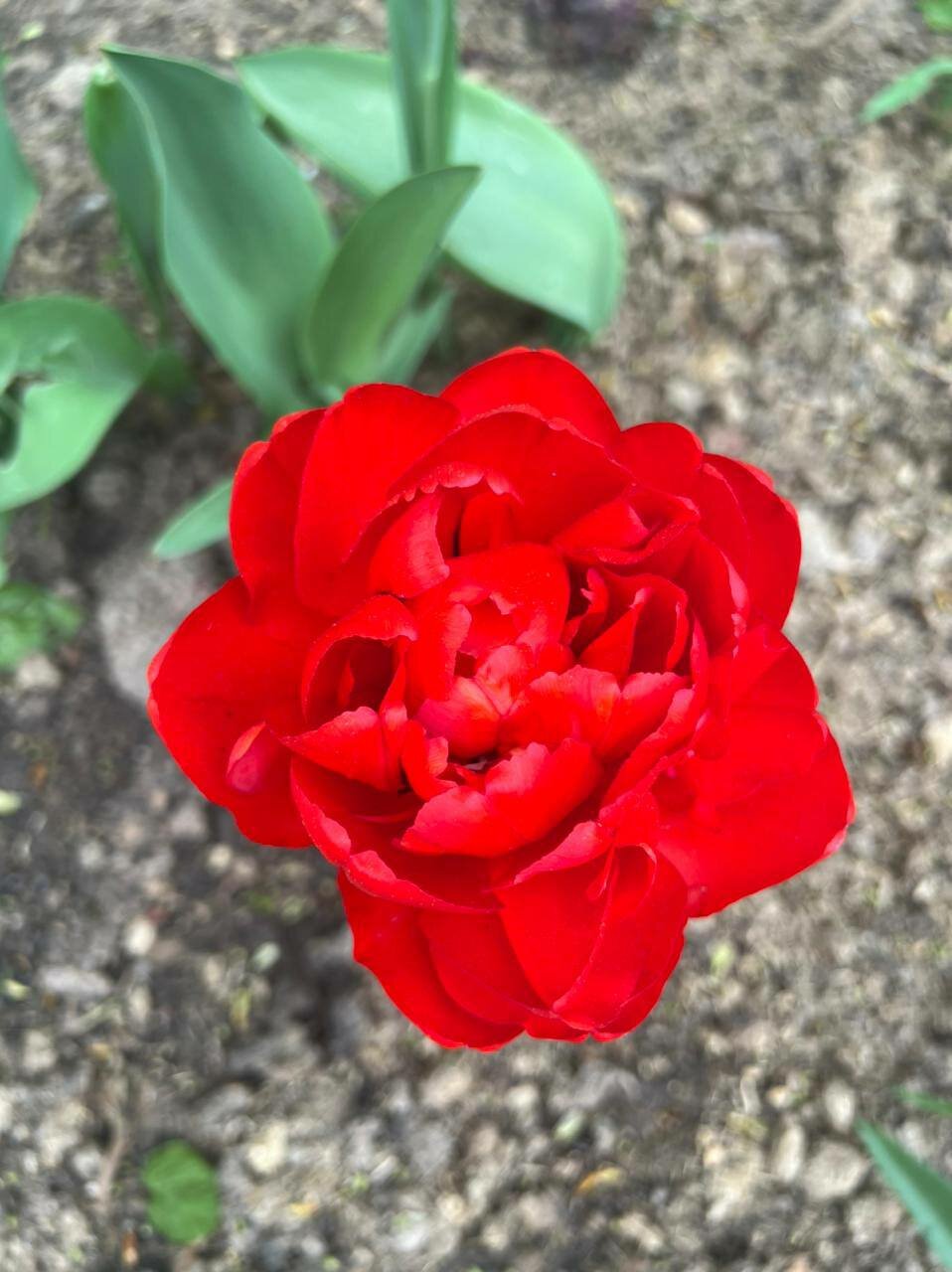 Гостиница Мон Плезир Химки-153