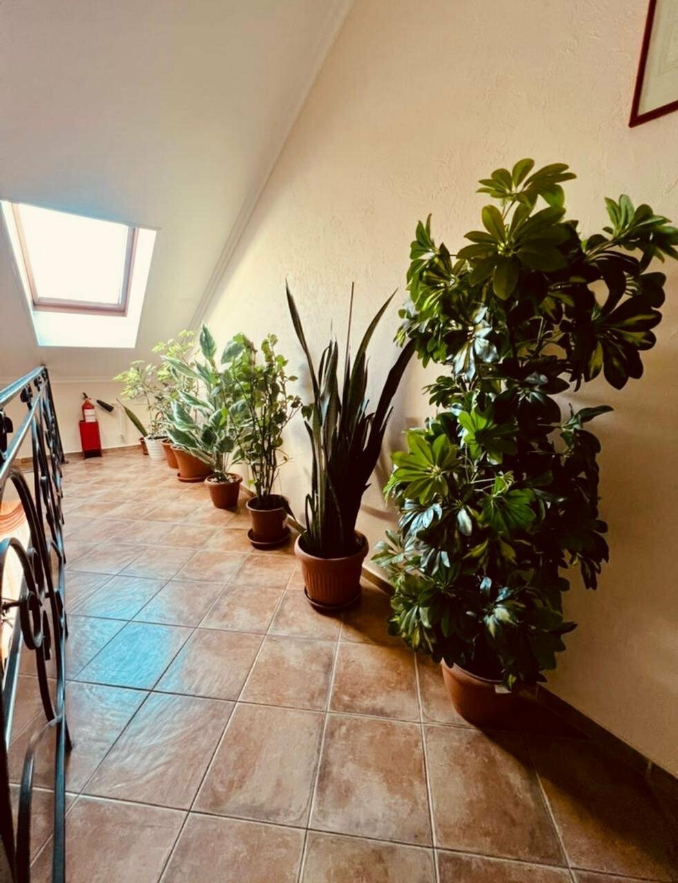 Гостиница Мон Плезир Химки-220