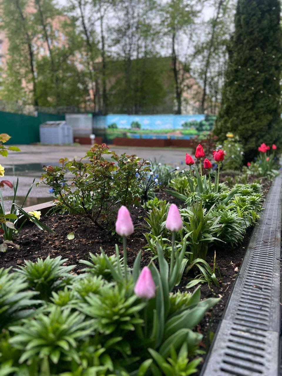 Гостиница Мон Плезир Химки-235