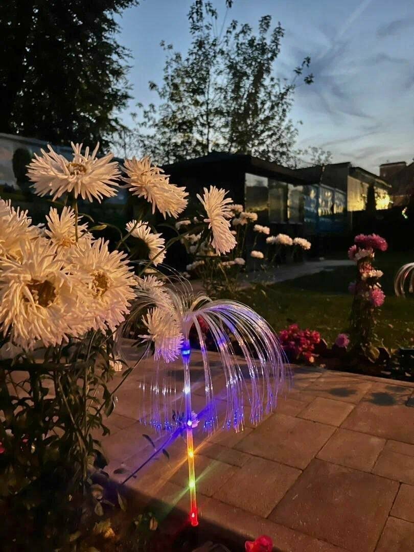 Гостиница Мон Плезир Химки-151