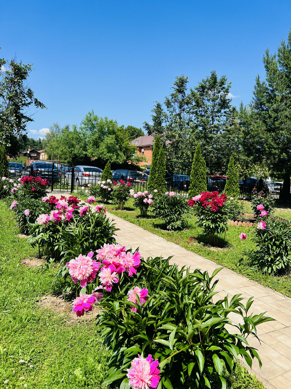 Гостиница Мон Плезир Химки-46