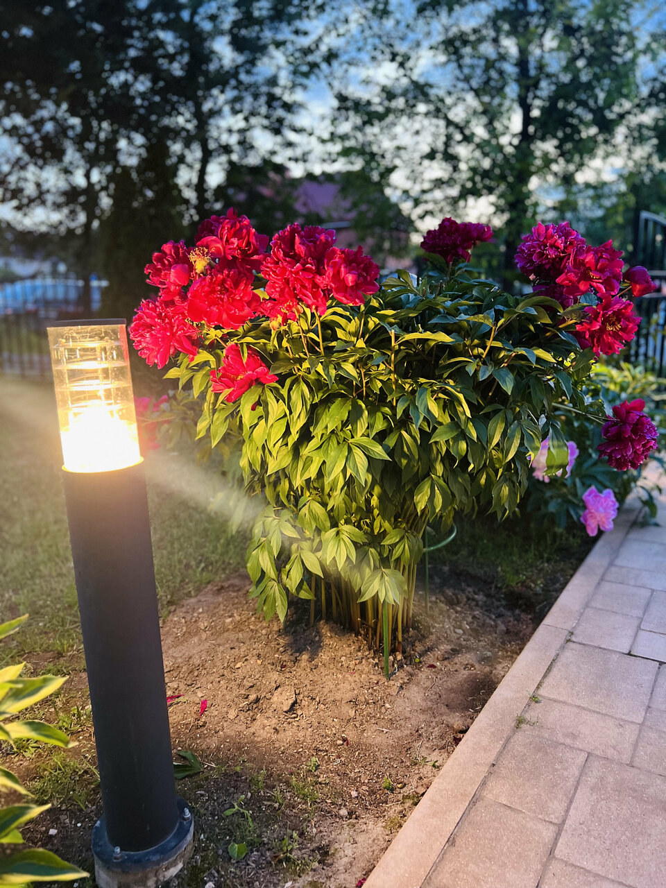 Гостиница Мон Плезир Химки-50