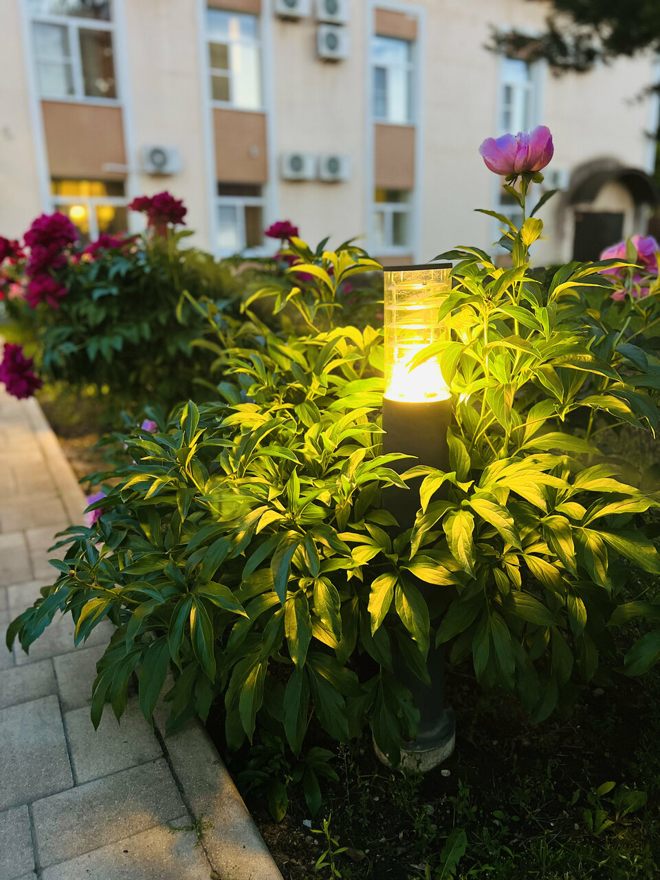 Гостиница Мон Плезир Химки-64