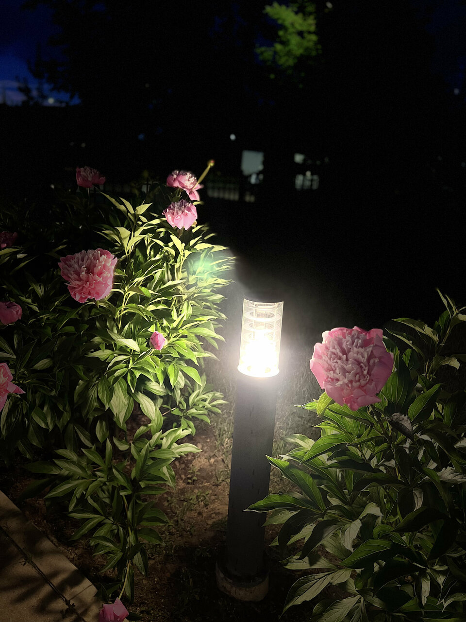 Гостиница Мон Плезир Химки-58