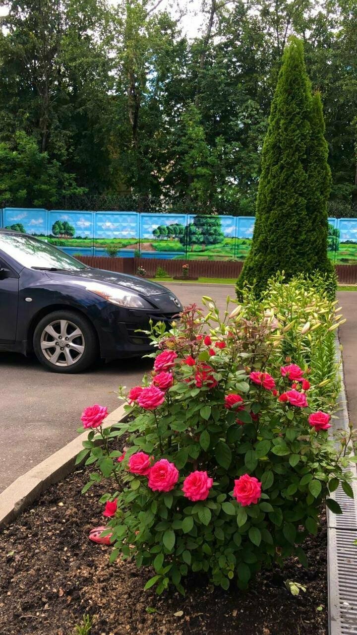 Гостиница Мон Плезир Химки-244