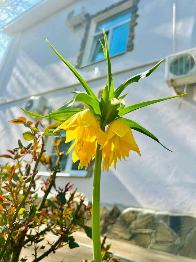 Гостиница Мон Плезир Химки-187