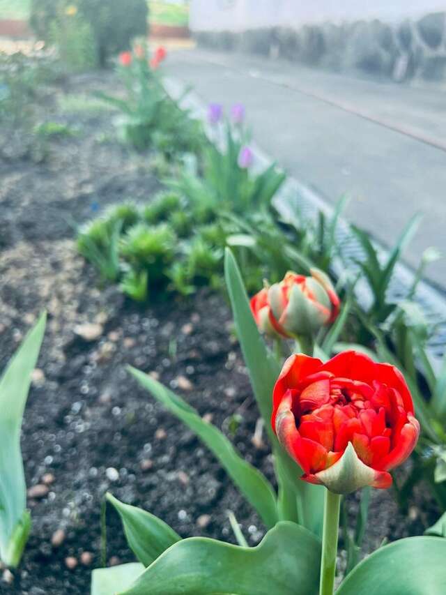 Гостиница Мон Плезир Химки-225