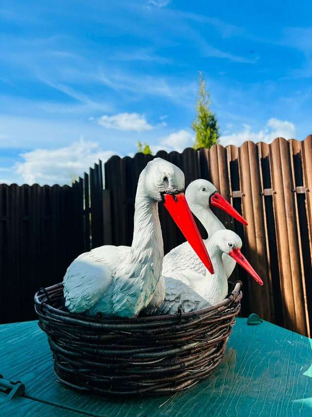 Гостиница Мон Плезир Химки-145