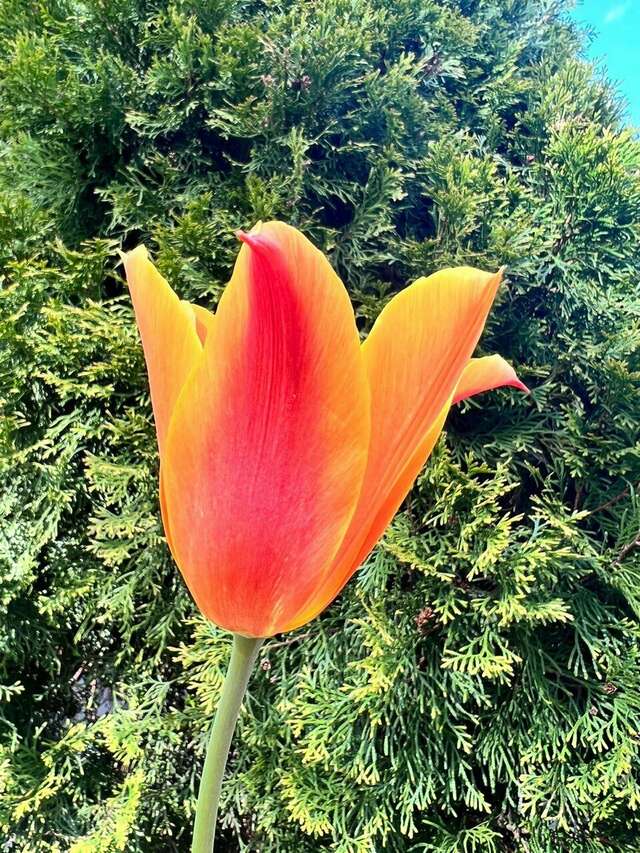 Гостиница Мон Плезир Химки-185