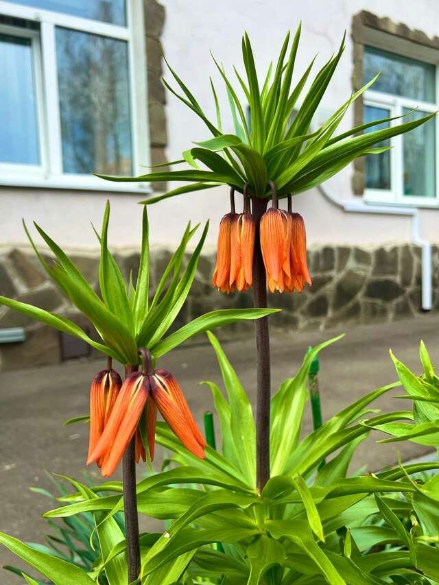 Гостиница Мон Плезир Химки-142