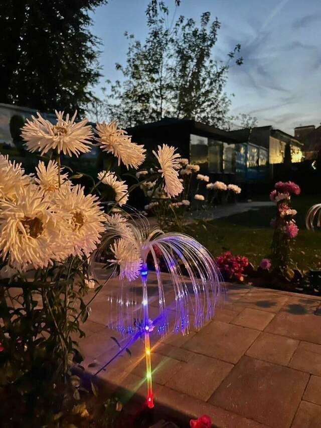 Гостиница Мон Плезир Химки-150