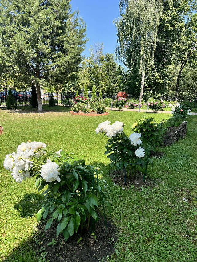 Гостиница Мон Плезир Химки-35