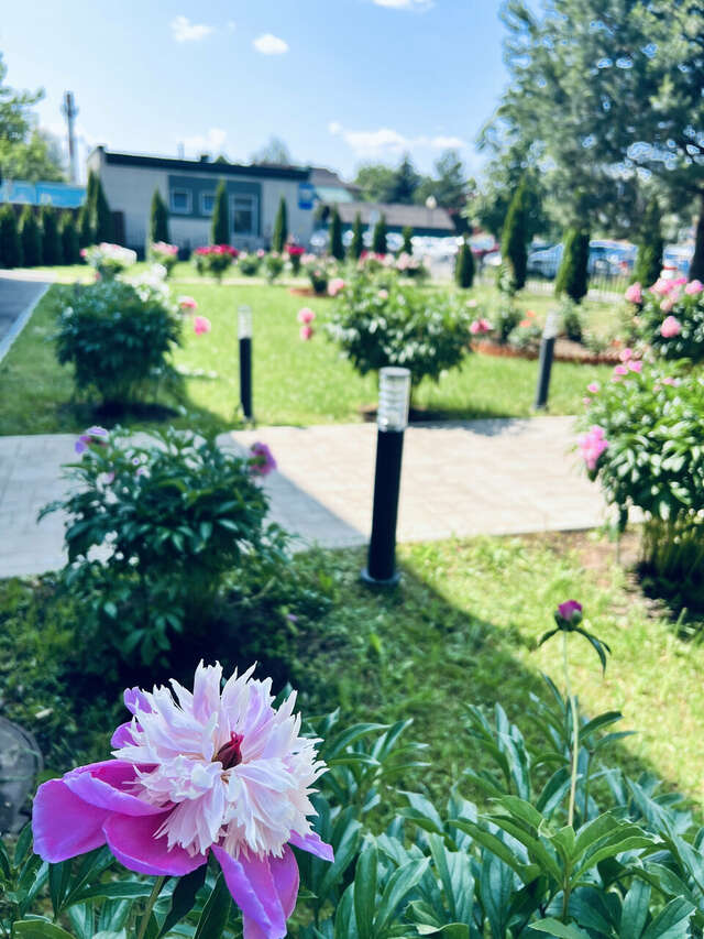 Гостиница Мон Плезир Химки-61