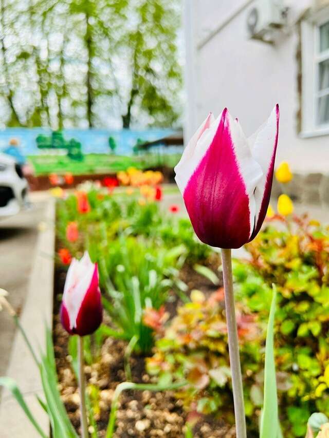 Гостиница Мон Плезир Химки-157