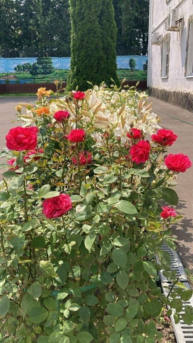 Гостиница Мон Плезир Химки-196