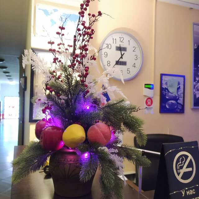 Гостиница Мон Плезир Химки-192