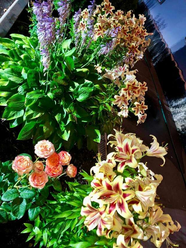 Гостиница Мон Плезир Химки-207