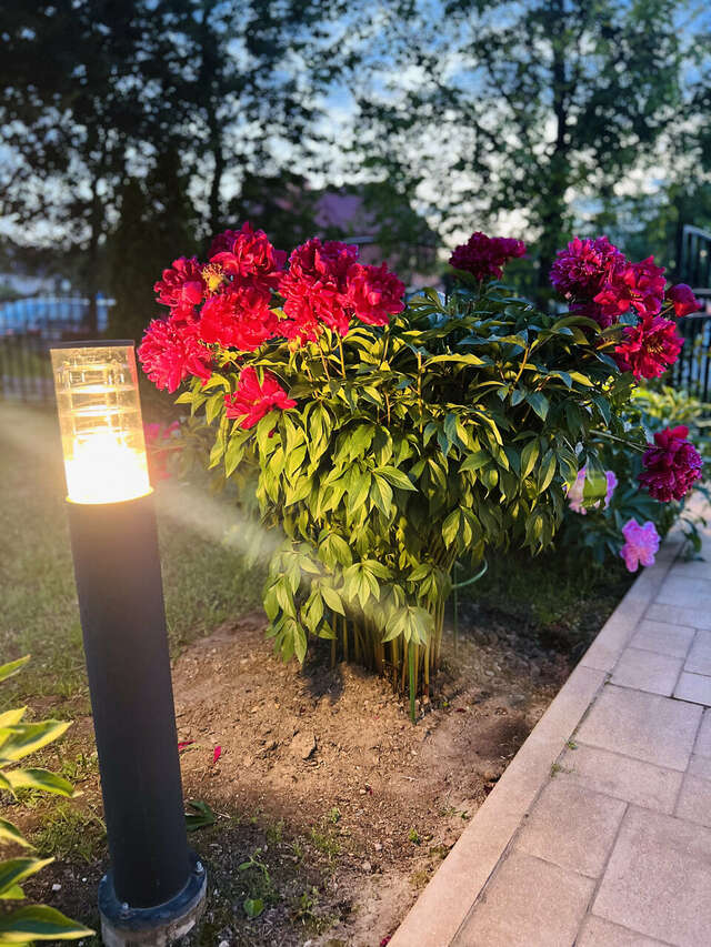 Гостиница Мон Плезир Химки-49