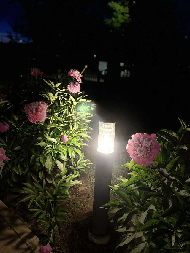 Гостиница Мон Плезир Химки-57