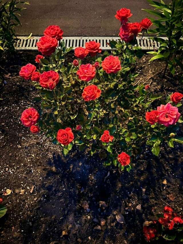 Гостиница Мон Плезир Химки-174