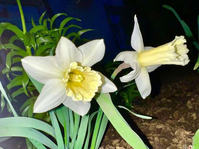 Гостиница Мон Плезир Химки-175