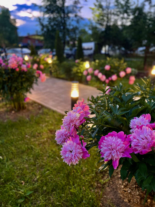 Гостиница Мон Плезир Химки-36