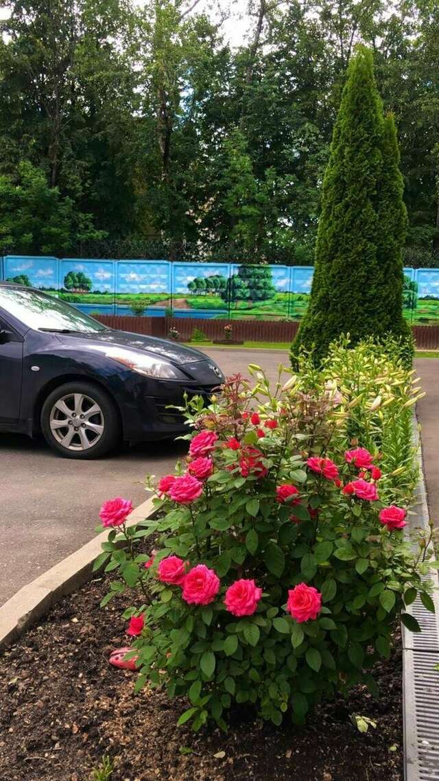 Гостиница Мон Плезир Химки-243